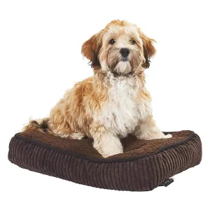 Bunty Snooze Dog Bed