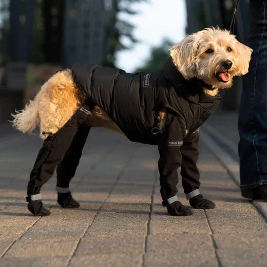 Canada Pooch Suspender Boots