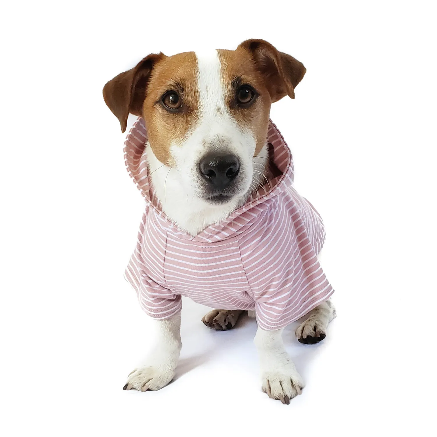 Dog Hoodie - Blush Pink