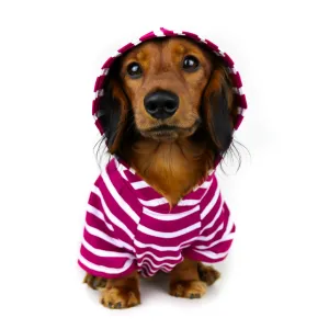 Dog Hoodie - Boysenberry