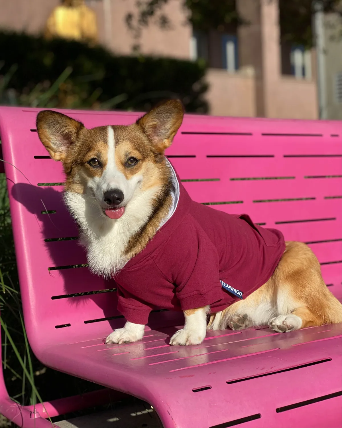 Dog Hoodie - Burgundy Red