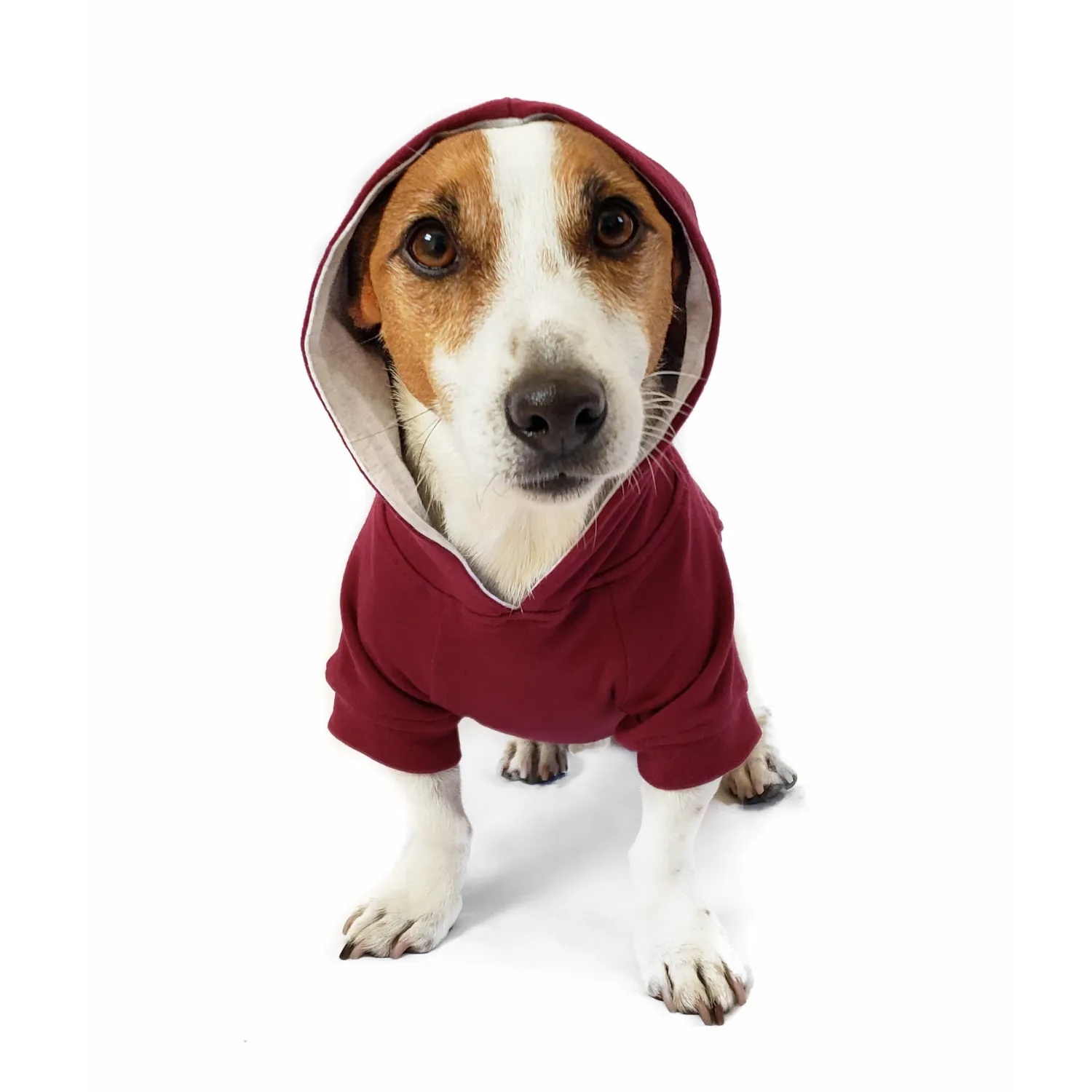 Dog Hoodie - Burgundy Red