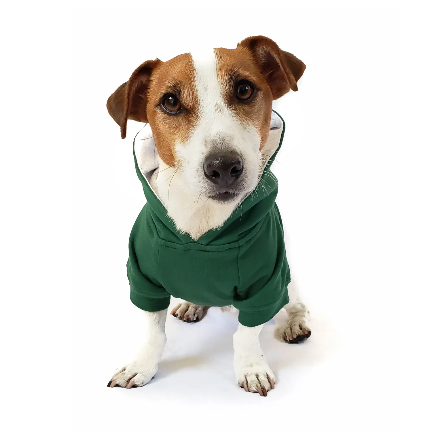 Dog Hoodie - Forest Green