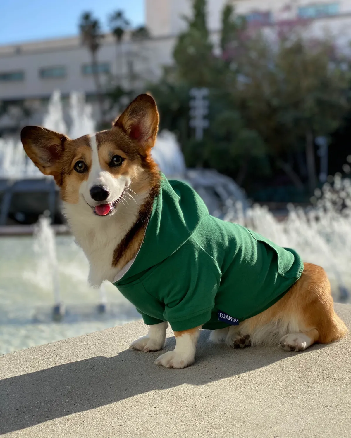 Dog Hoodie - Forest Green