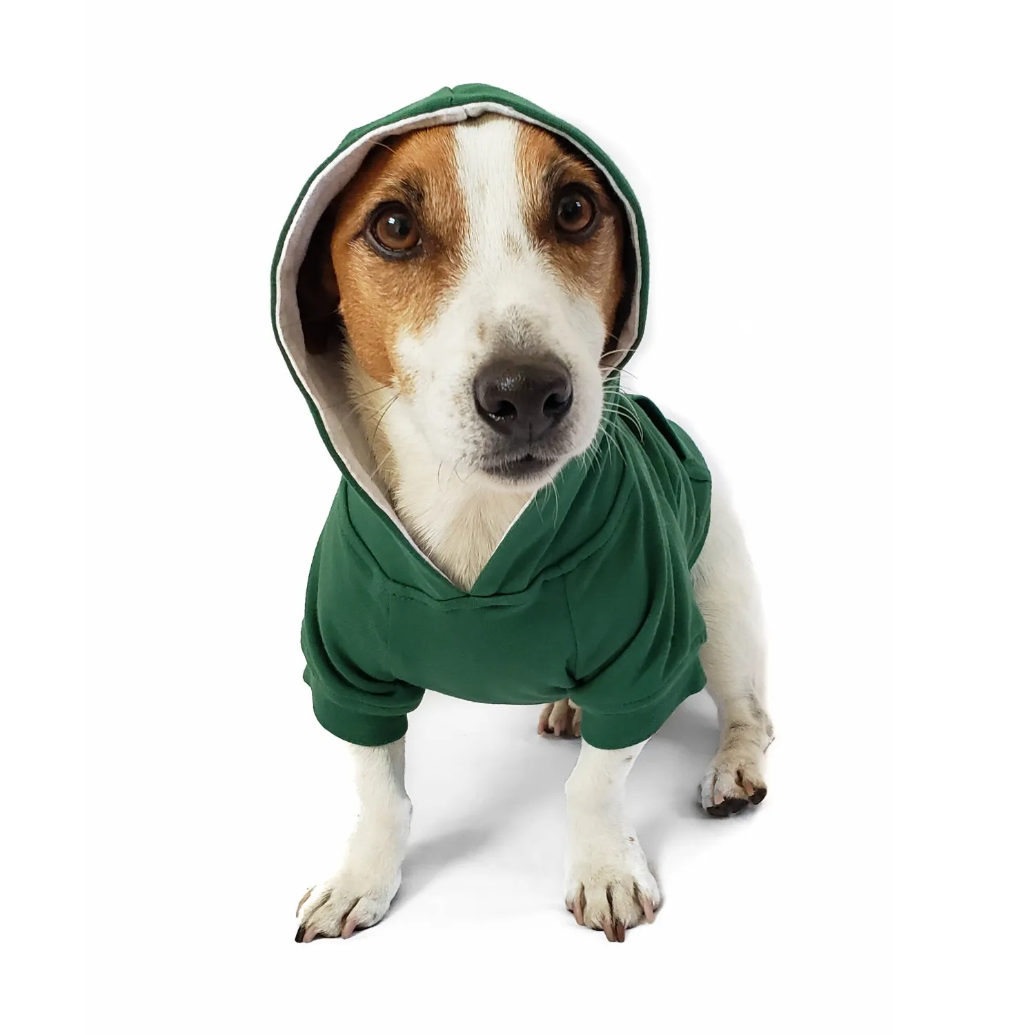 Dog Hoodie - Forest Green