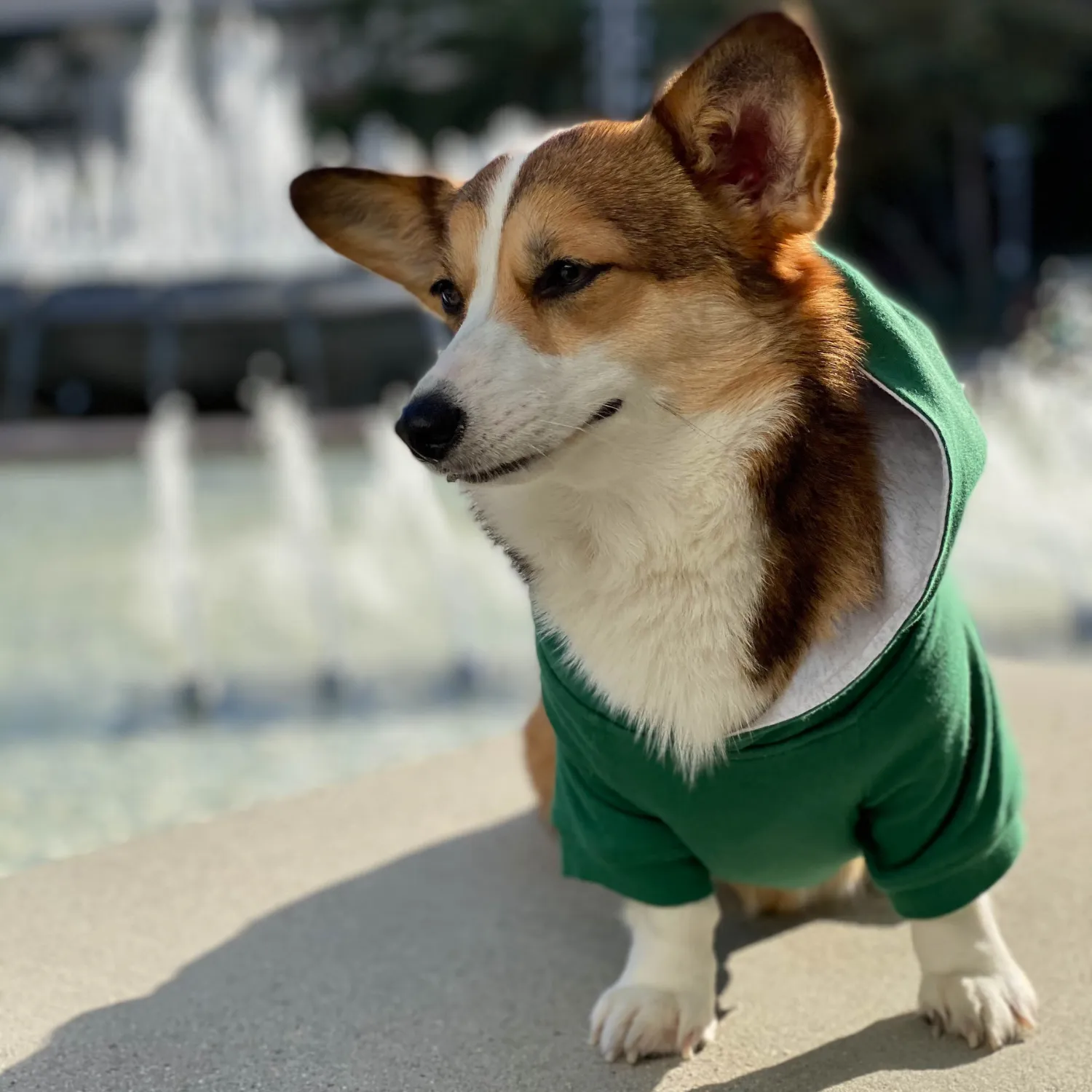 Dog Hoodie - Forest Green