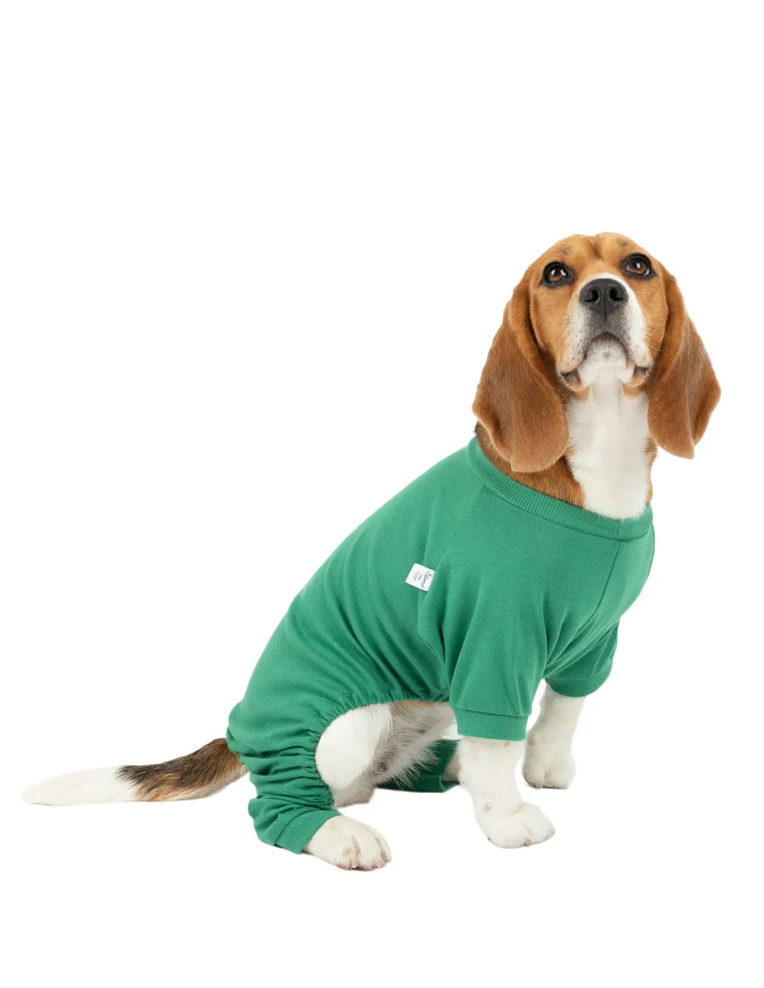 Dog's Solid Classic Color Pajamas