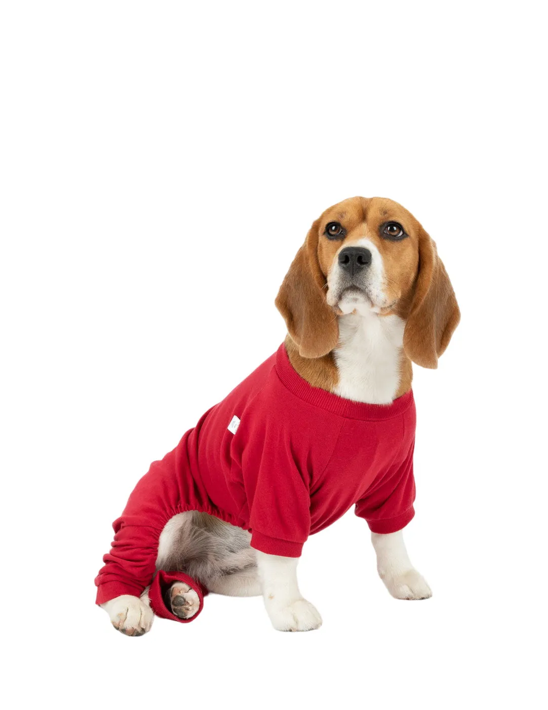 Dog's Solid Classic Color Pajamas