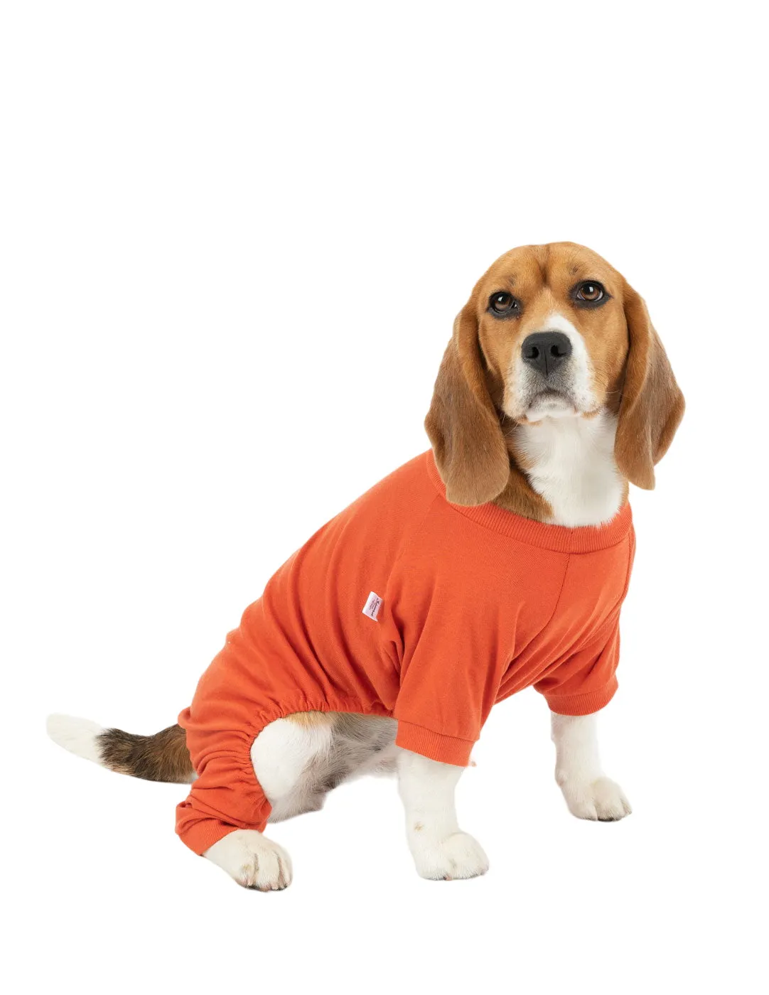 Dog's Solid Classic Color Pajamas