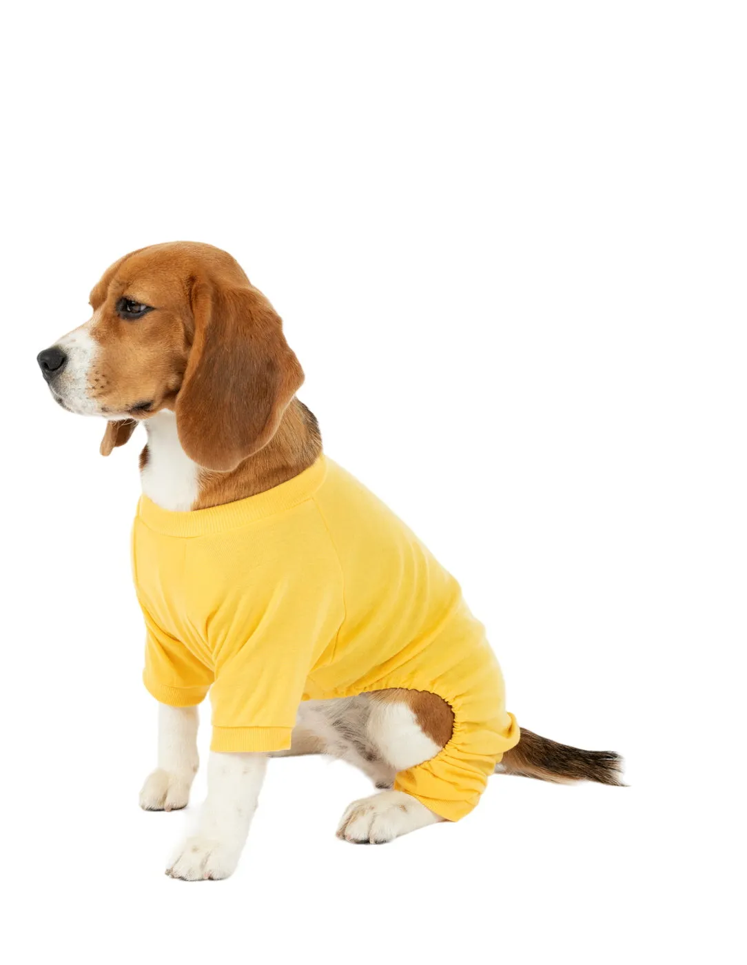 Dog's Solid Classic Color Pajamas