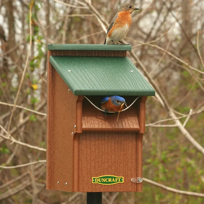 Duncraft Bluebird Swing Guard Bird House