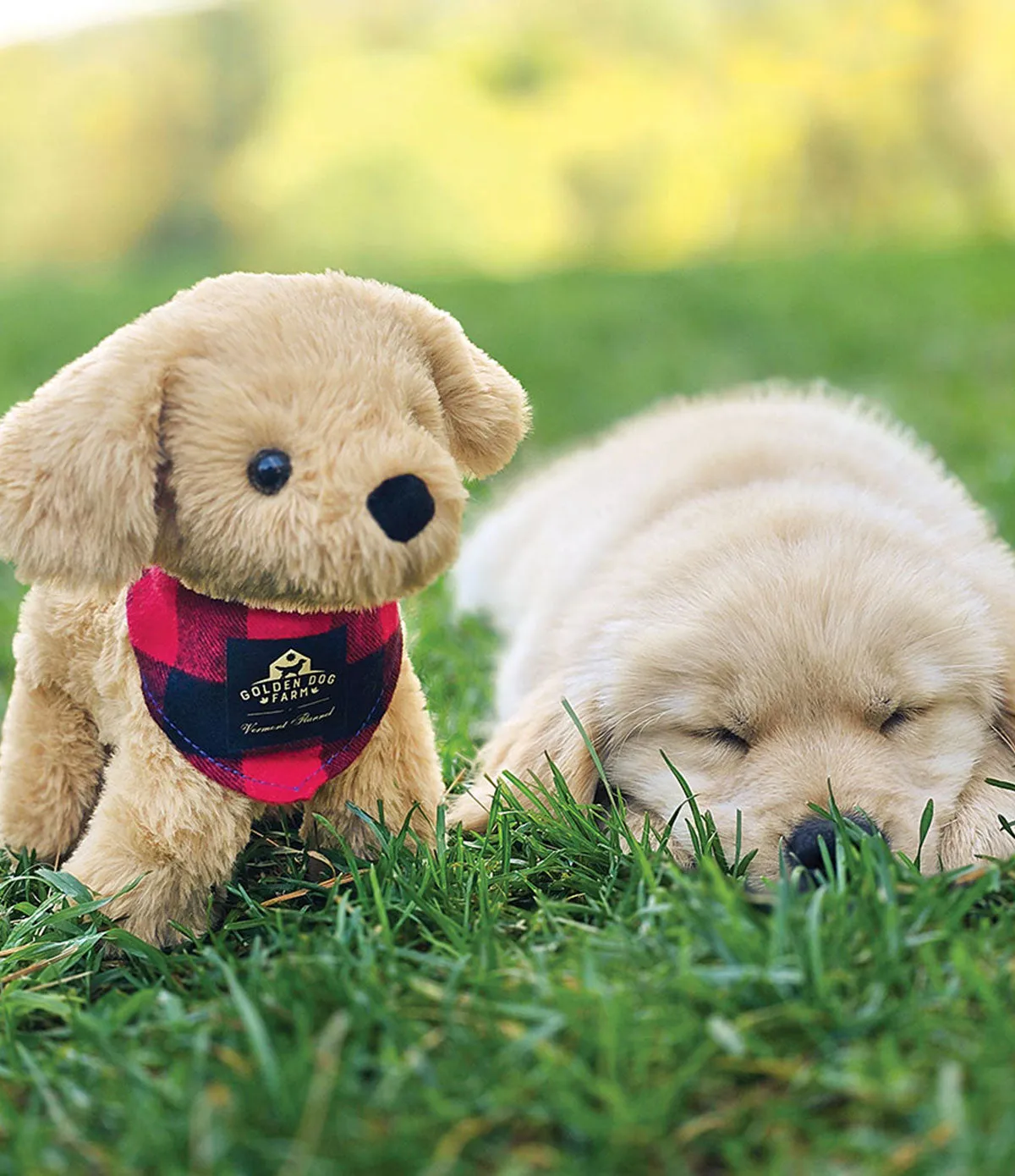 Golden Dog Farm 8" Plush Retriever - Red Buffalo