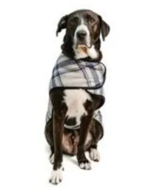 Grey/Blue Plaid Dog Blanket Coat