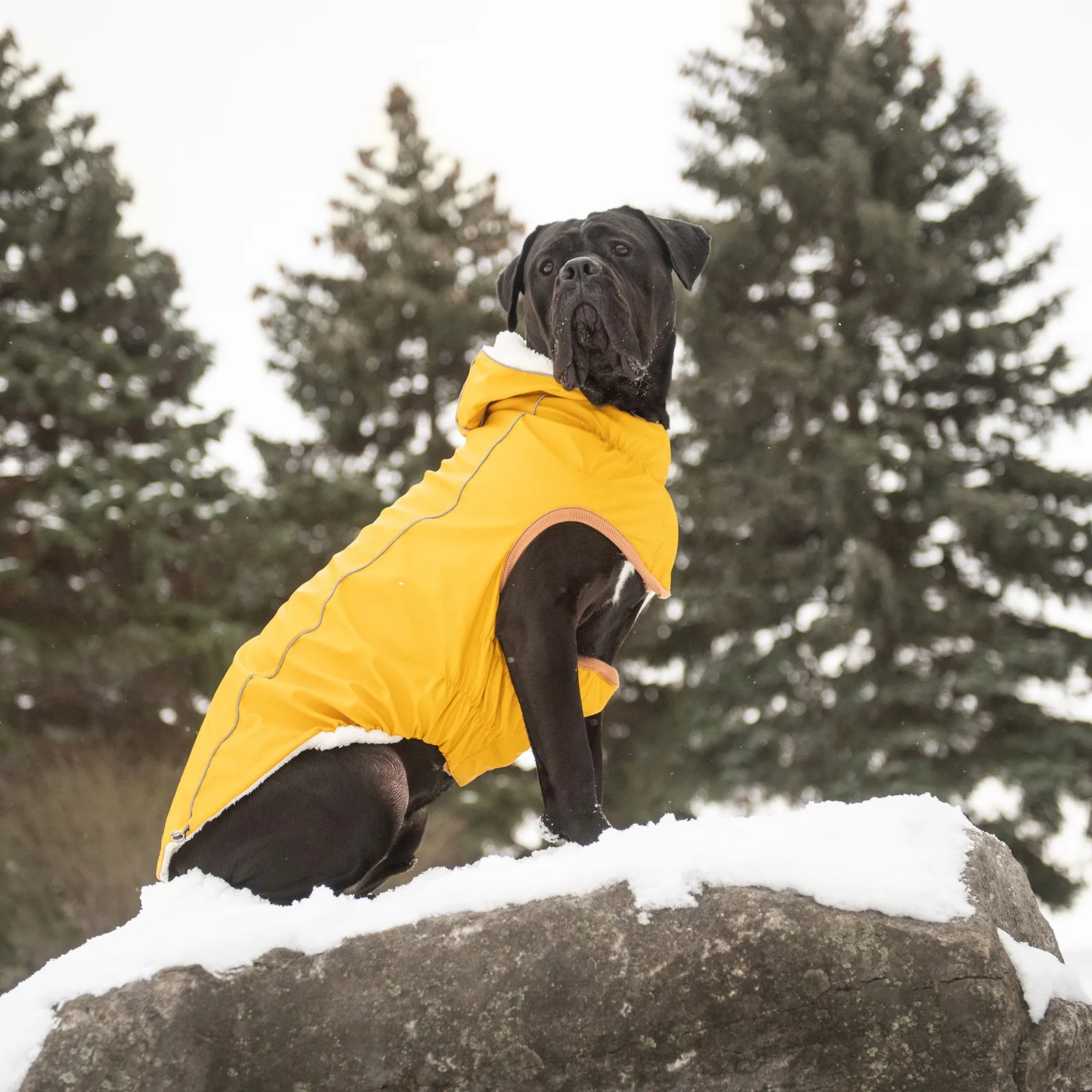 Insulated Rain Jacket