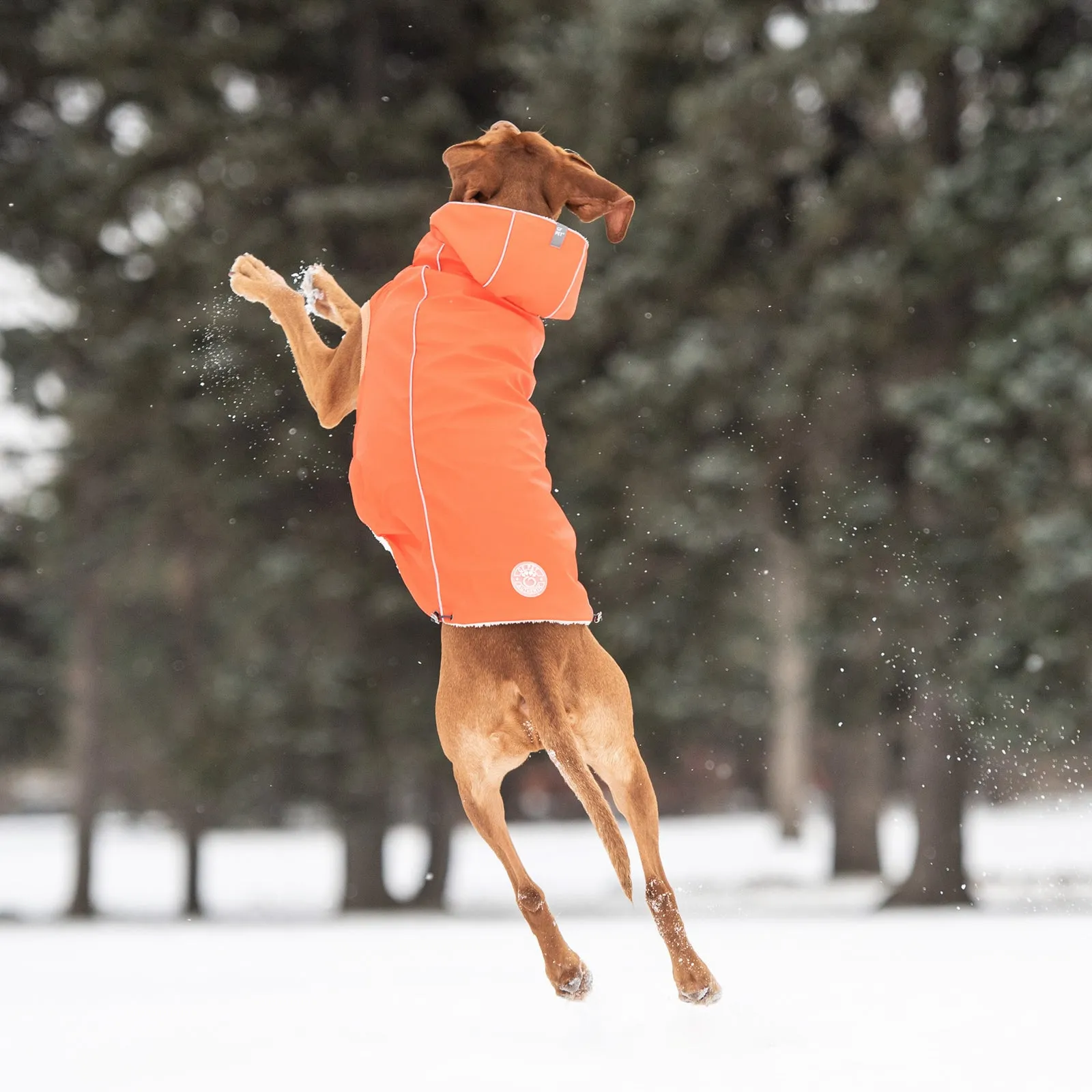 Insulated Rain Jacket