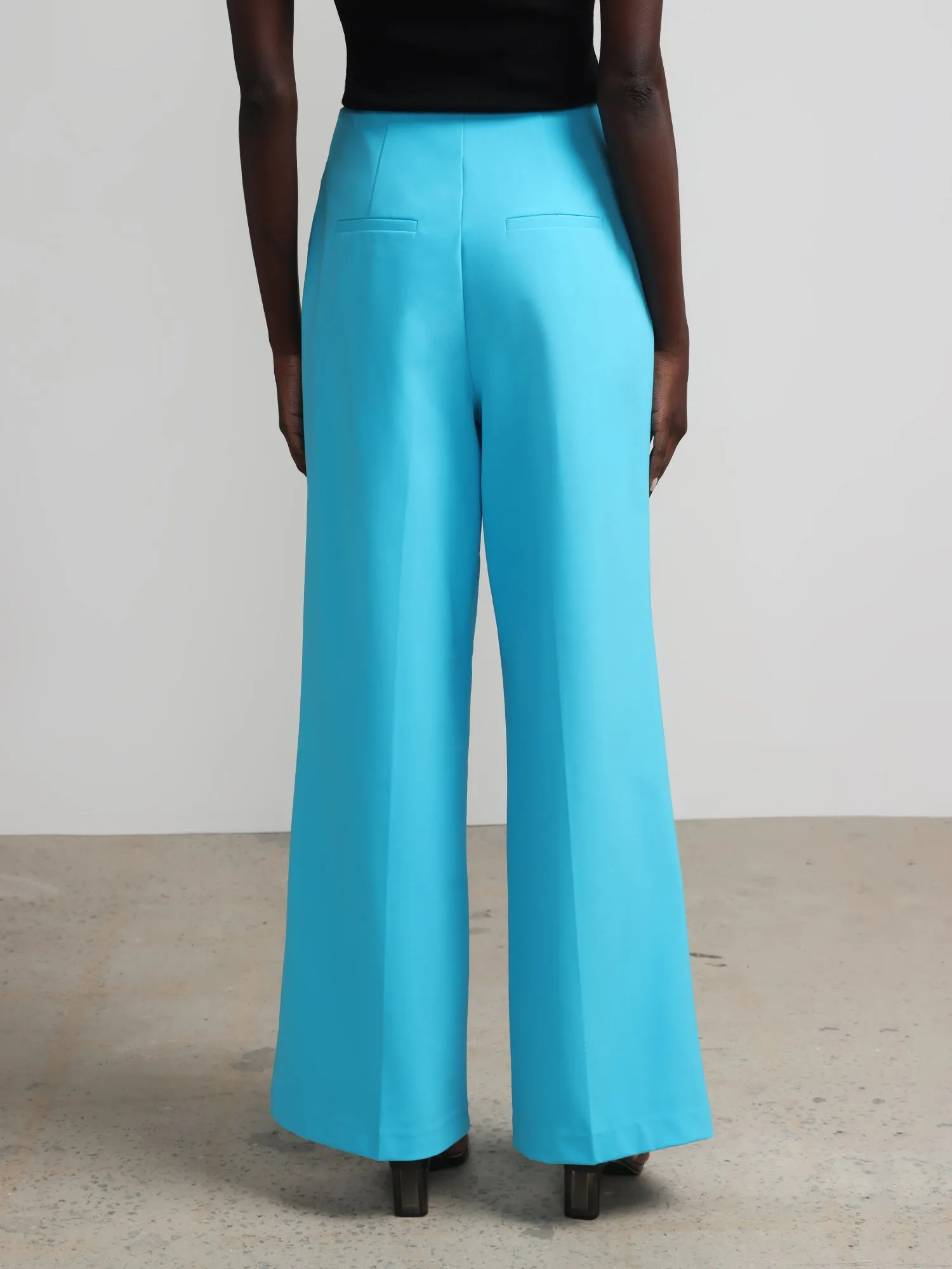 Petite Pleated Wide-Leg Pant - Fit To Flatter