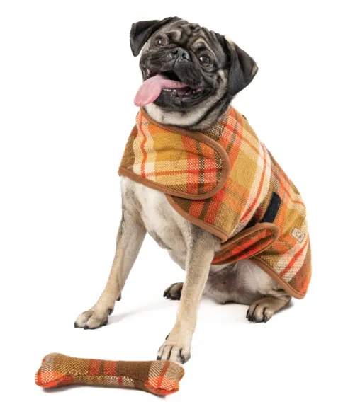 Rust Plaid Dog Coat