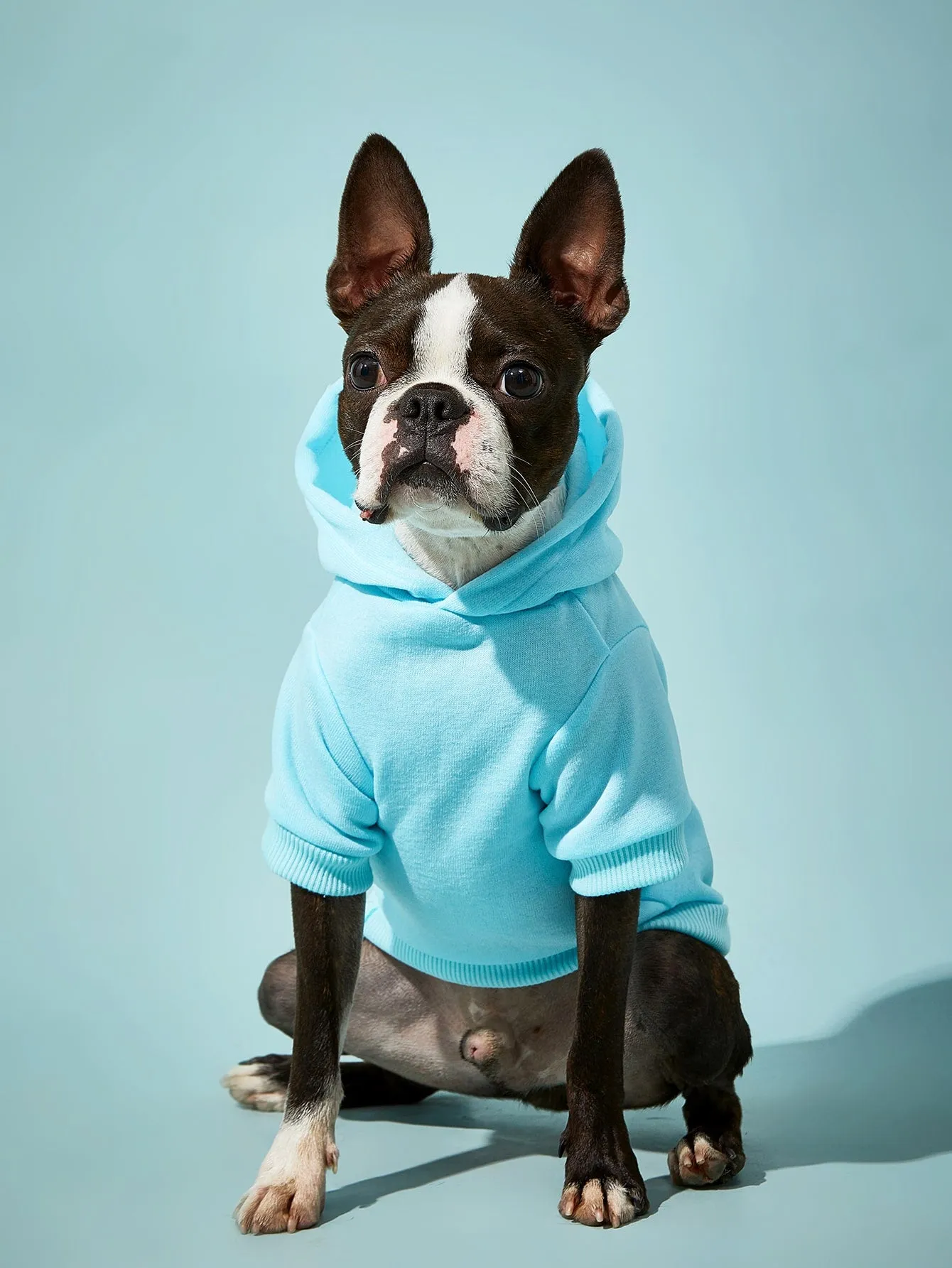 Solid Color Pet Hoodie