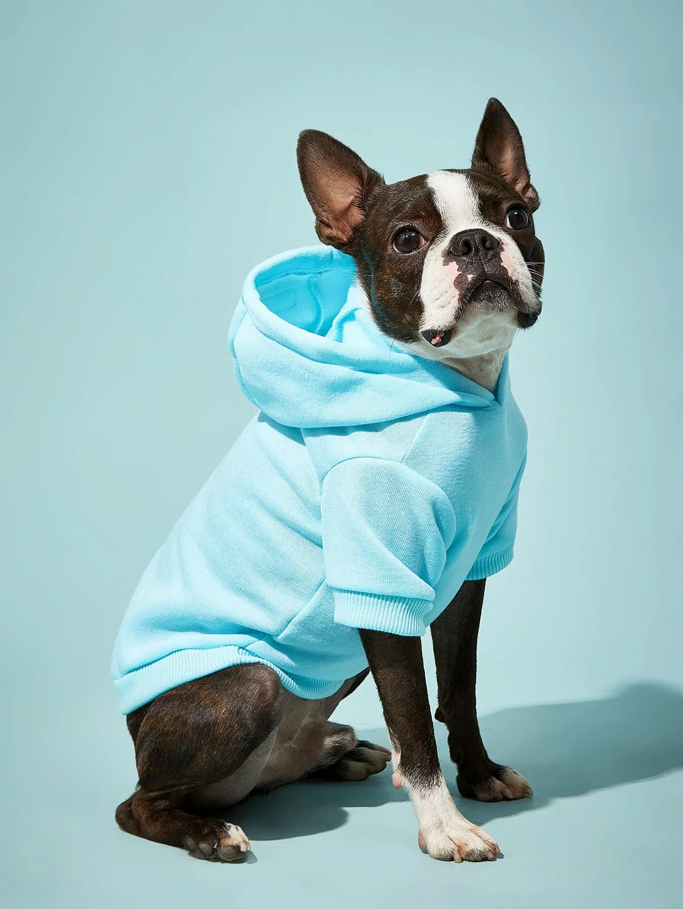 Solid Color Pet Hoodie