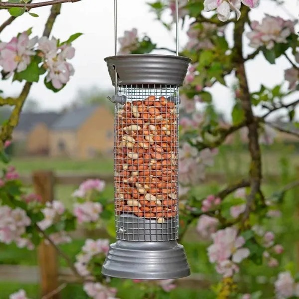 Supreme Peanut Feeder | 30CM