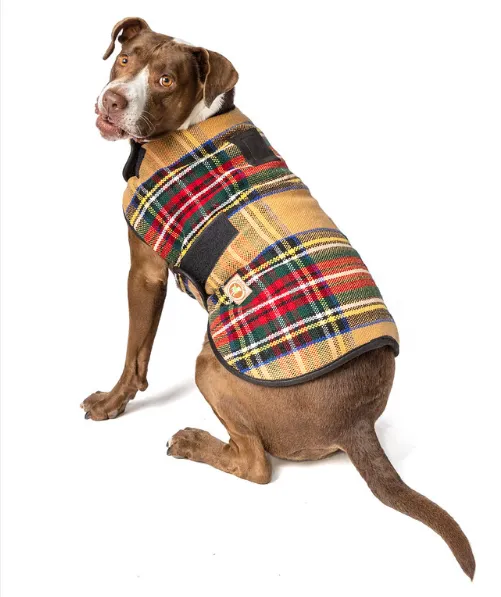 Tan Tartan Plaid Blanket Dog Coat