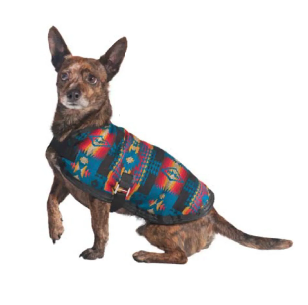 Turquoise Southwest Dog Blanket Coat